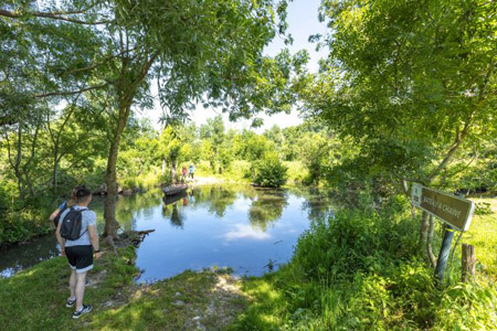 Marais poitevin